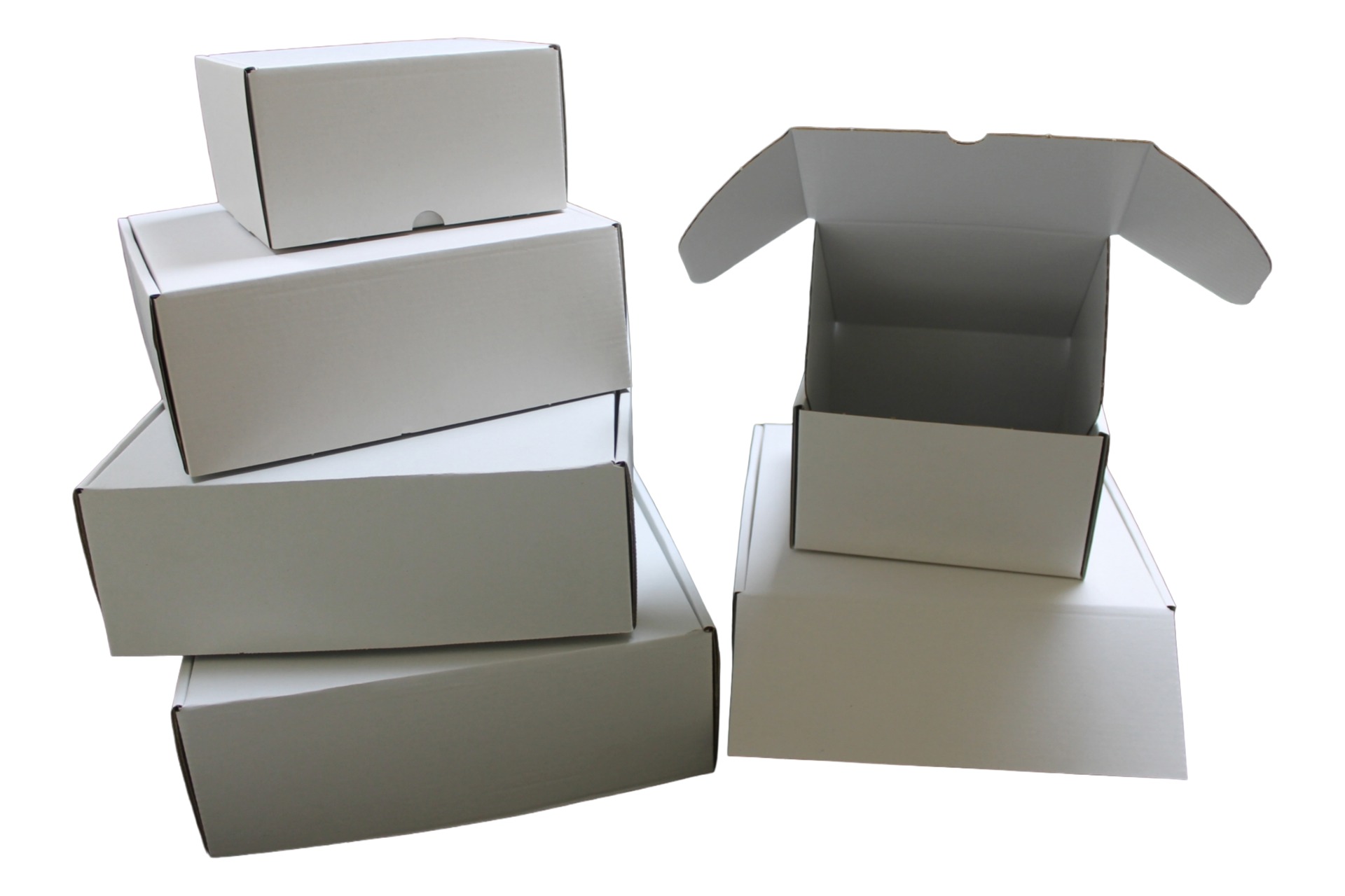 ESTUCHE COLOR BLANCO MICROCANAL